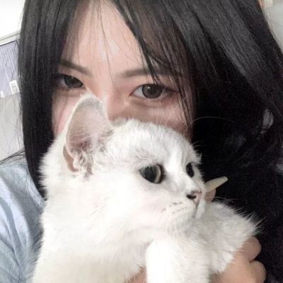 贪婪洞窟2最新版本下载